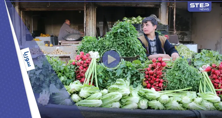 عدسة ستيب تتجول في أسواق وأحياء مدينة إدلب لترصد الأجواء الرمضانية خلال الشهر الكريم: أخبار