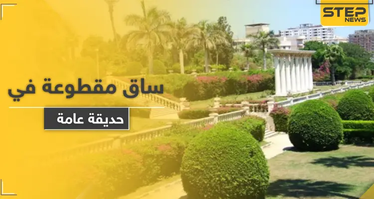 العثور على ساق لفتاة مدفونة في حديقة عامة وسط حلب والطب الشرعي يوضح: أخبار