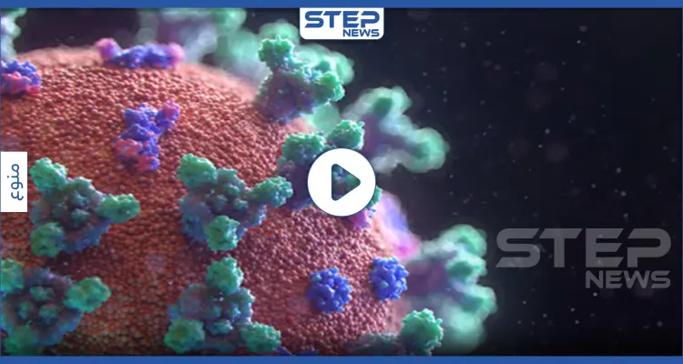 شاهد|| مسؤول إسرائيلي يدعو وزارات الصحة العربية لنشر هذا الفيديو لتفادي إصابات كورونا: أخبار