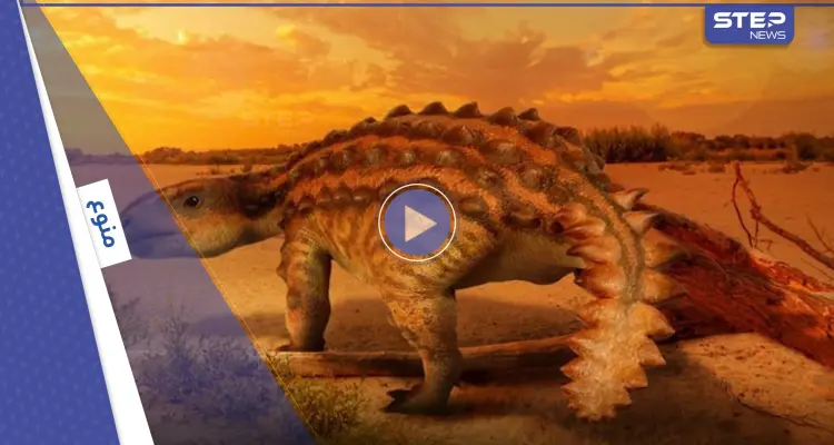 بالفيديو|| اكتشاف ديناصور مدرع بذيل مذهل يشبه أحد أسلحة البشر يعود إلى ملايين السنين: أخبار