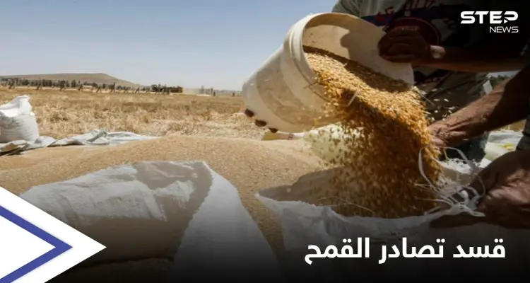 خاص|| قوات قسد تصادر أطناناً من القمح من المناطق المحاذية لمناطق سيطرة المعارضة وتبرّر الدوافع: أخبار