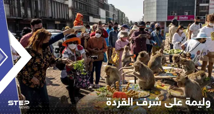 شاهد|| وليمة على شرف القردة.. انقضوا عليها والتهموا أطعمة بألفي دولار: أخبار