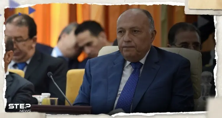 الخارجية المصرية تكشف تفاصيل لقاء شكري وبيدرسون حول الملف السوري: أخبار