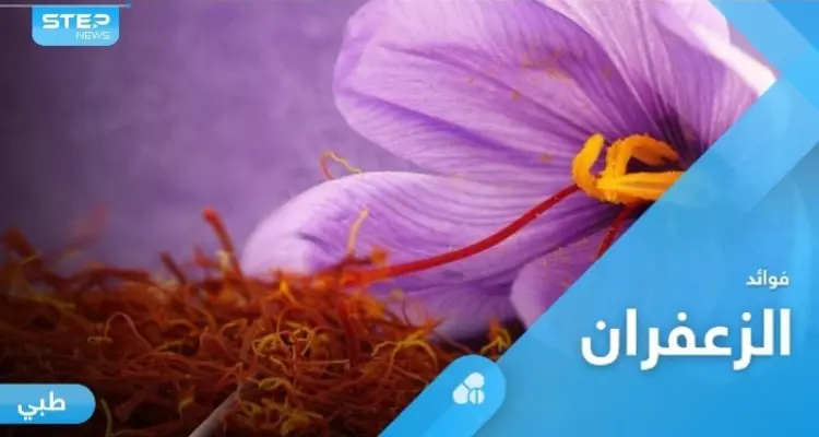 من أغلى النباتات في العالم.. الزعفران صيدلية متكاملة لعلاج الأمراض: أخبار