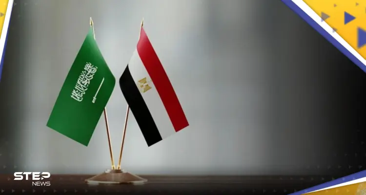 مشروع ضخم في مصر بتمويل سعودي لبناء محطة طاقة جديدة: أخبار