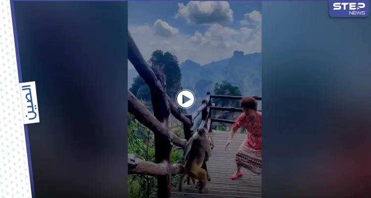 بالفيديو|| قرد سريع يسرق حقيبة امرأة صينية عندما كانت ترقص وتغني بحديقة حيوانات وطنية: أخبار