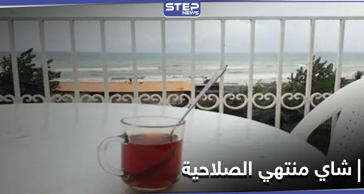 رفداً للخزينة... النظام السوري يغرق الأسواق بأطنان شاي إيراني منتهي الصلاحية: أخبار