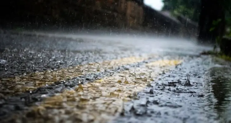 تفسير حلم المطر في المنام لأبن سيرين للعزباء و المتزوجة: أخبار