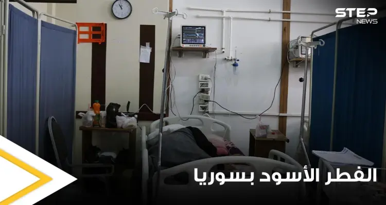 الفطر الأسود خطر جديد يلاحق السوريين وصحة دمشق تدق ناقوس الخطر.. تعرف على مخاطره وطرق علاجه: أخبار