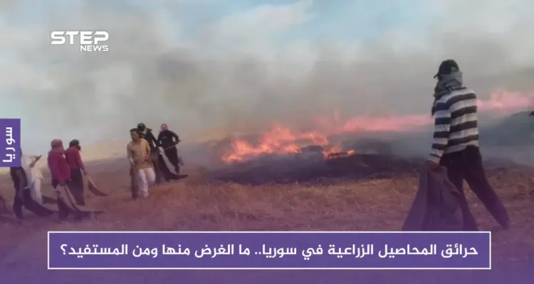 حرائق المحاصيل الزراعية في سوريا.. ما الغرض منها ومن المستفيد؟: أخبار