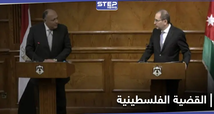 في لقاءٍ تشاوري ثلاثي.. مصر والأردن يوضحان طريق حل القضية الفلسطينية: أخبار
