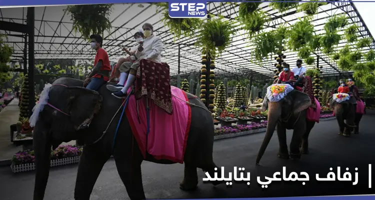 بالصور|| في يوم عيد الحب... زفاف جماعي على ظهور الأفيال في حديقة استوائية بتايلاند: أخبار