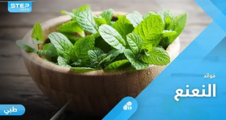 أكثر النباتات العلاجية شعبية حول العالم.. النعنع وفوائد كثيرة لا تحصى: أخبار
