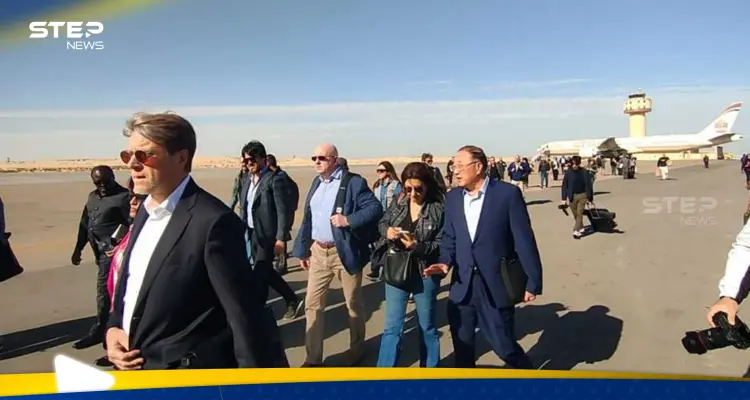 وفد من مجلس الأمن الدولي يصل مصر.. ما مهمته؟: أخبار