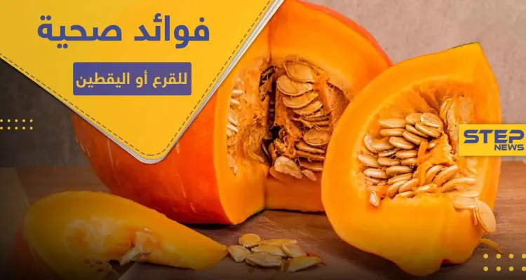6 فوائد صحية مثبتة علمياً لـ القرع أو اليقطين.. تجعله يدخل في وجباتك الرئيسية: أخبار