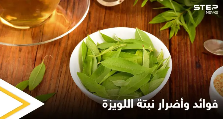 نبتة اللويزة لعلاج الربو وغيره من الأمراض وتحذيرات للمرأة الحامل: أخبار