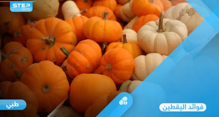 فوائد اليقطين.. صيدلية متكاملة للكثير من الأمراض وأعضاء الجسم إليك أهم المعلومات: أخبار