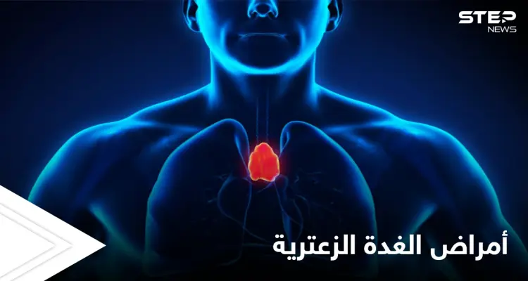 أهميتها كبيرة لصحة الإنسان.. تعرّف على الغدة الزعترية وأكثر أمراضها خطراً وطرق علاجها: أخبار