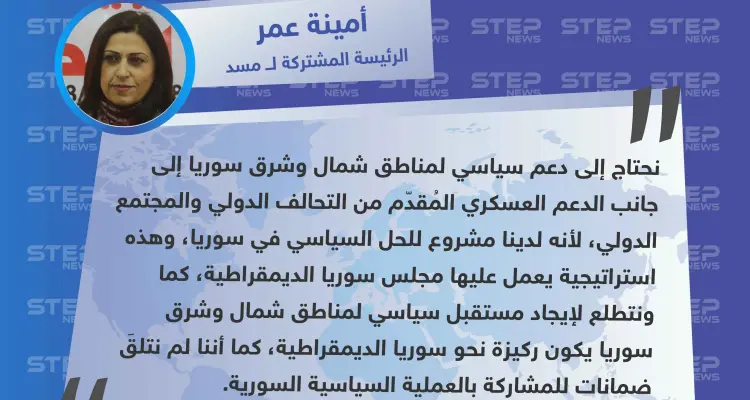 الرئيسة المشتركة ل "مسد": لدينا مشروع للحل السياسي في سوريا لكن لم نتلقَ ضمانات للمشاركة: أخبار