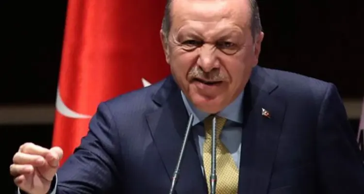 أردوغان يكشف عن إنجاز تركي جديد يتعلّق بالفضاء سيضع تركيا بين أول 10 دول رائدة: أخبار