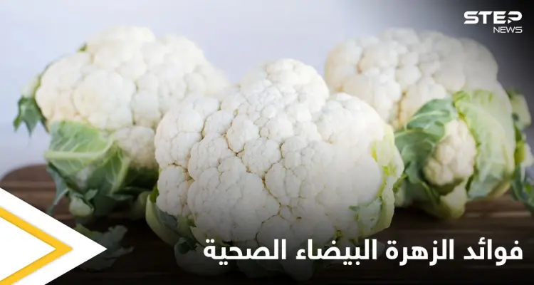 مقاومة للسرطان وتحسن عمل الجهاز العصبي.. تعرف على فوائد الزهرة البيضاء الصحية: أخبار