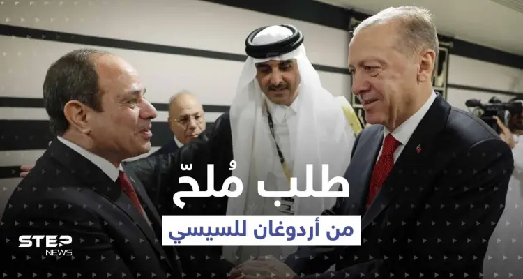 بأول مصافحة بينهما.. ماذا طلب أردوغان من السيسي على هامش افتتاح كأس العالم؟: أخبار