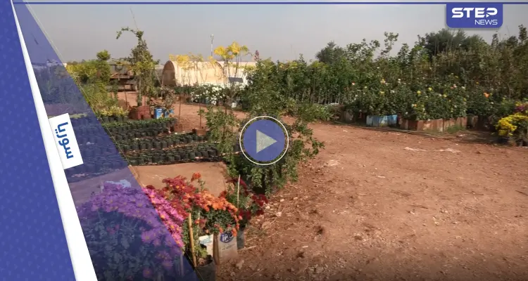 ورثا المهنة عن أبيهما .. حسين وأخيه يديران مشتل للزهور في إدلب رغم الصعوبات: أخبار