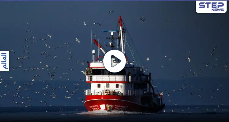 اصطدام سفينتين يونانية وتركية في بحر إيجه.. وأنقرة تمهد لمناورات عسكرية بعد إصدارها إنذارين: أخبار