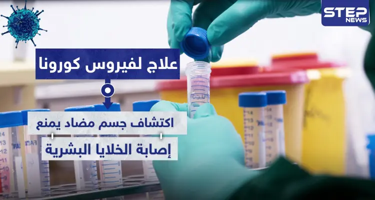 علاج لفيروس كورونا.. اكتشاف جسم مضاد يمنع إصابة الخلايا البشرية: أخبار