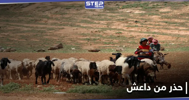 بتهمة مرتبطة بداعش.. قوات النظام السوري تعتقل رعاة أغنام وتحتجز عرباتهم بريف الرقة: أخبار