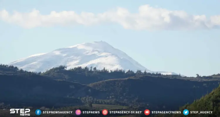 موجز أخبار الوضع السوري ليوم الجمعة 18-01-2019: أخبار