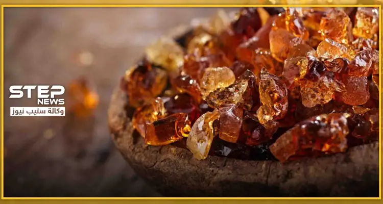 من بينها "السعال ومرضى الكلى والسكري".. نبتة عربية تشفي من عشرات الأمراض المزمنة: أخبار