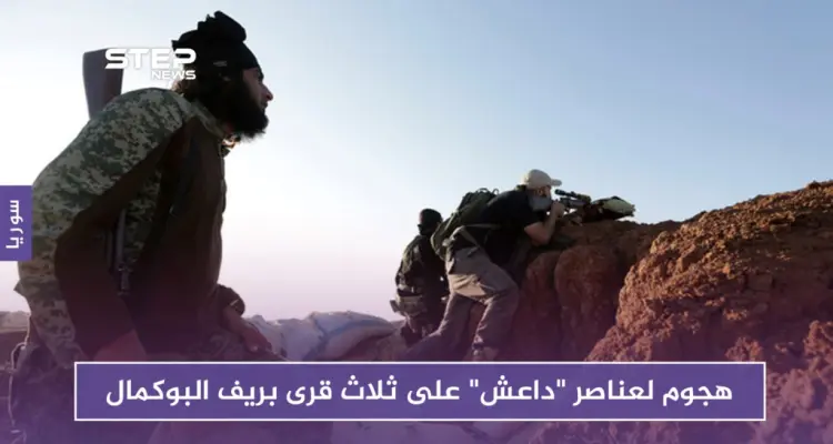 هجوم متزامن لعناصر "داعش" على ثلاث قرى بريف البوكمال.. وهذه نتيجته: أخبار