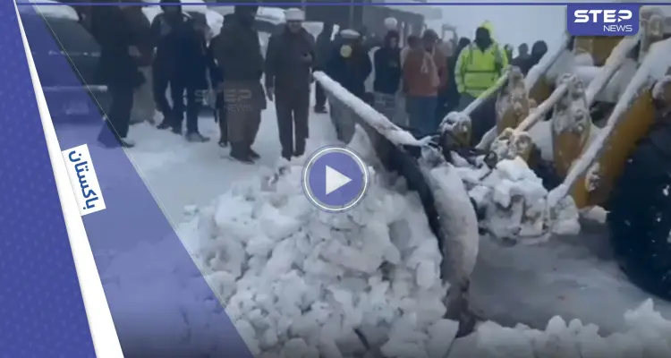 بالفيديو|| تجمدوا في سياراتهم حتى الموت.. عاصفة ثلجية تحاصر 16 شخصاً في مدينة سياحية وتزهق أرواحهم: أخبار