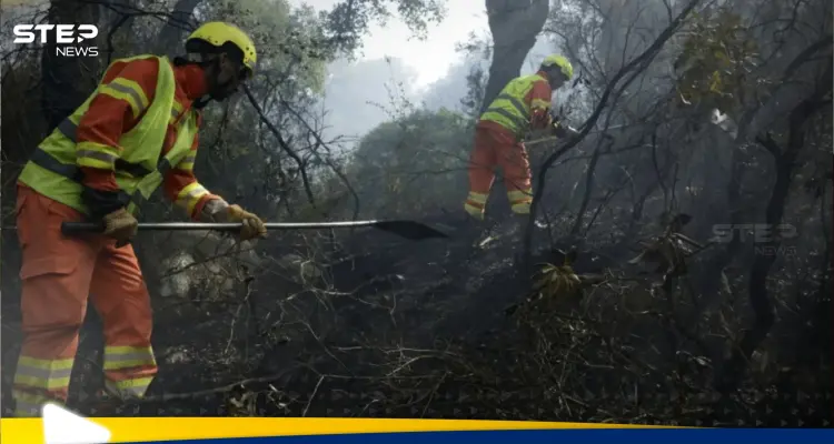 في ظل رياح عاتية.. استمرار مكافحة حرائق الغابات في المغرب: أخبار