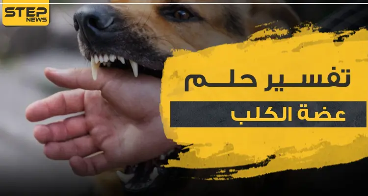 تفسير حلم عضة الكلب في المنام و4 دلالات في رؤيته للعامة في المنام: أخبار