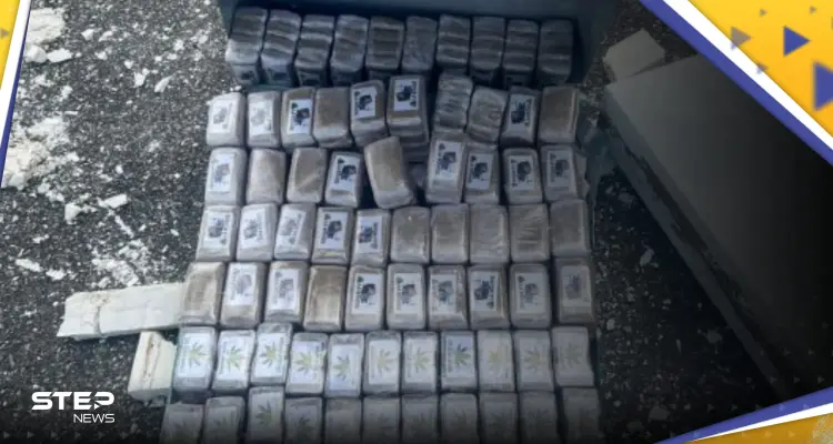 السلطات المغربية تحبط عملية تهريب مخدرات مخفية بطريقة "غريبة": أخبار