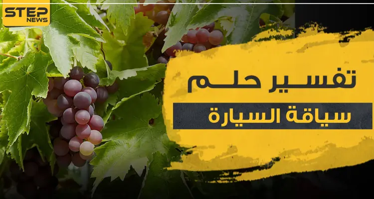 تفسير حلم رؤية أكل العنب..4 تفاسير مختلفة مع تفصيل أنواع العنب للرجال والنساء: أخبار