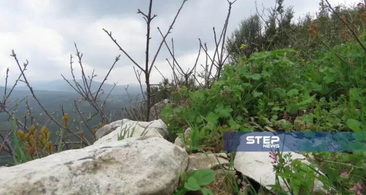 موجز أخبار الوضع السوري ليوم السبت 13-04-2019: أخبار