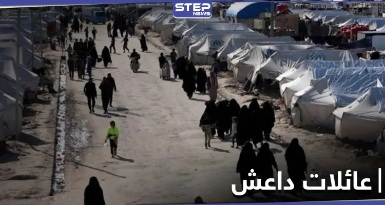 شاهد|| ميليشيا قسد تفرج عن عدد من عائلات مخيم الهول بوساطات عشائرية: أخبار