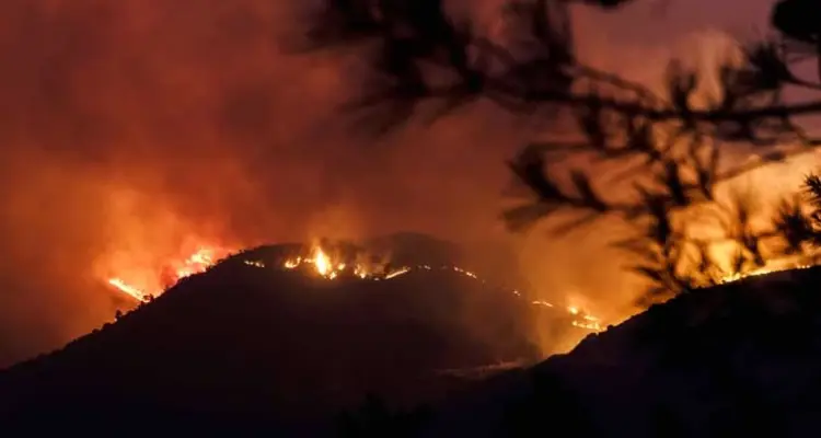 4 قتلى مصريون إثر حريق مستعر لليوم الثاني في غاباتٍ كثيفة بقبرص (صور): أخبار