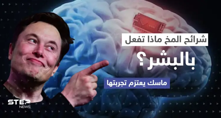 "تصنع المستحيل".. ماسك يعتزم تجربة شريحة المخ على البشر إليك ما قد يحدث (فيديو): أخبار