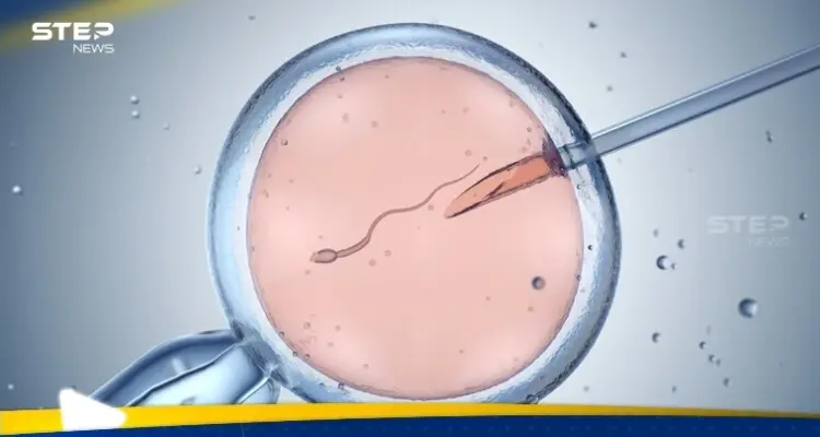 ولادة أول طفل باستخدام نظام آلي بالكامل بالذكاء الاصطناعي: أخبار