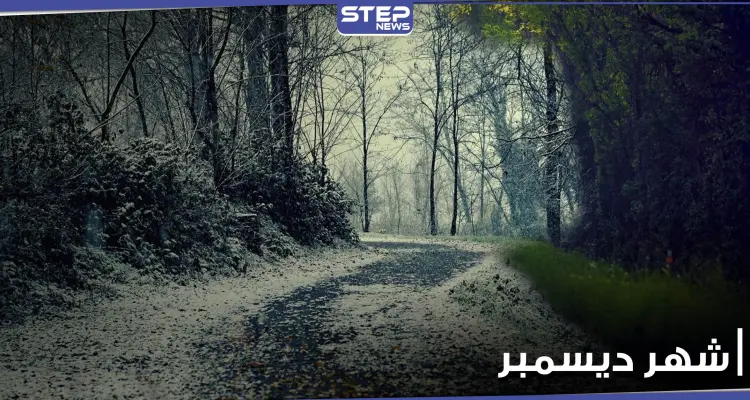 لماذا تصدر "ديسمبر December" مواقع البحث ووصف بشهر النهايات السعيدة: أخبار