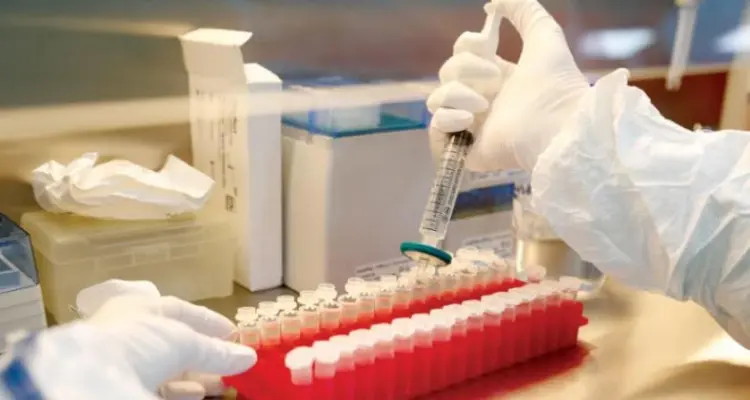 معلومات عن قرار بالإجماع من الأمم المتحدة حول لقاحات كورونا: أخبار