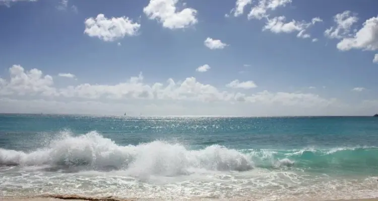 تفسير حلم البحر للمرأه المتزوجة والحامل والغيرمتزوجة: أخبار