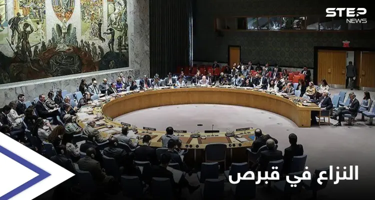 مجلس الأمن يوافق على إعلان لتسوية النزاع في قبرص.. ماذا تضمن؟: أخبار