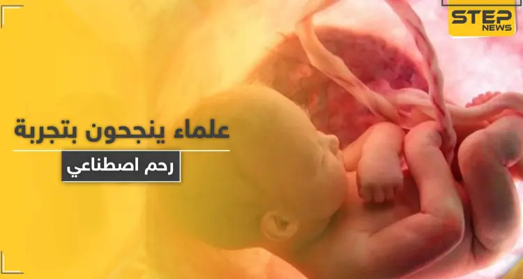 "يمكن مشاهدة تطور الجنين".. علماء ينجحون باختبار رحم اصطناعي: أخبار
