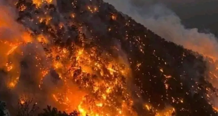 أردوغان يتوجه بالشكر لبوتين بسبب "حرائق تركيا" وملك عربي يبدي استعداده للمساعدة: أخبار