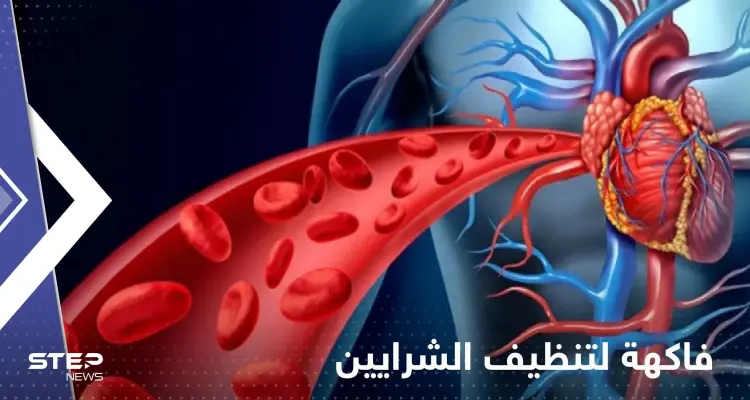 فاكهة شهيرة لتنظيف الشرايين.. احرص على تناولها يومياً: أخبار